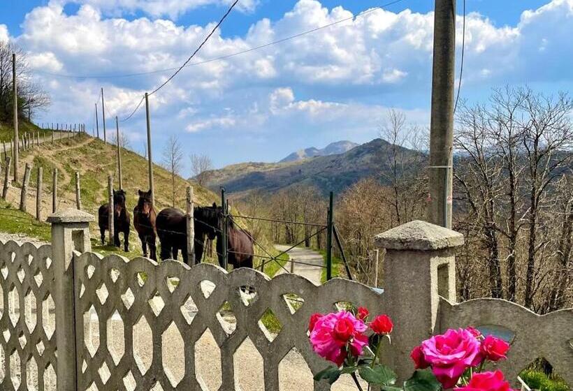 פנסיון Colle Del Faggio Nature Room