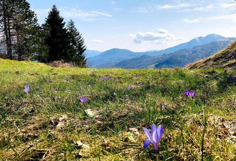 פנסיון Colle Del Faggio Nature Room