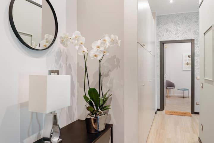 Pension Mk   Apartment