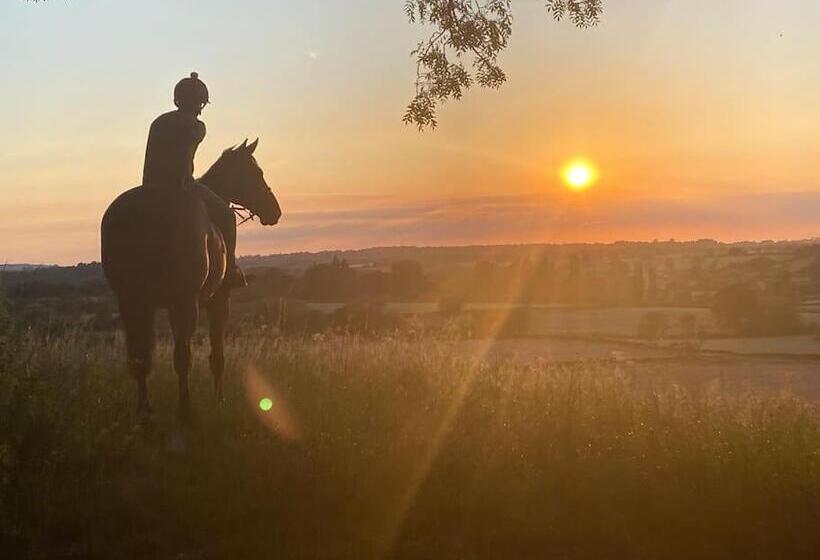 צימר Stunning  Room With A View