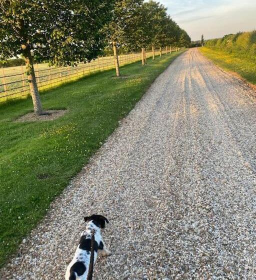 צימר Stunning  Room With A View