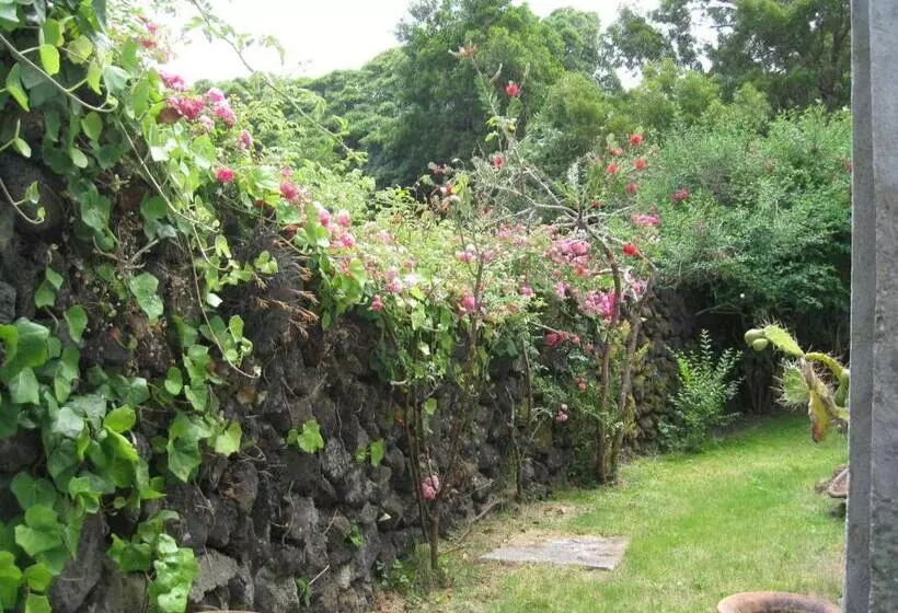 ホテル Quinta Do Rossio, Rural Tourism