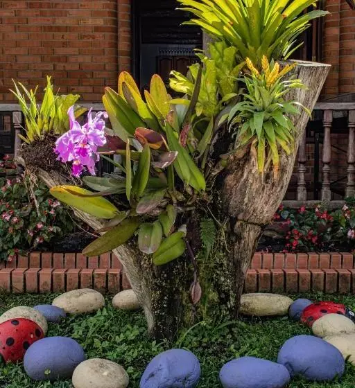 Hotelli Rincon Oibano