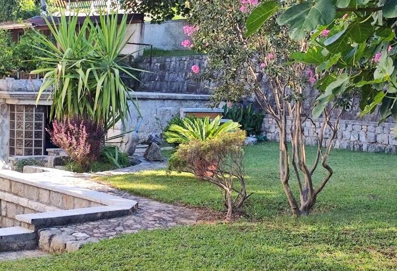 پانسیون Igors