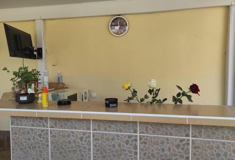 بنسيون Sunny House Apartments