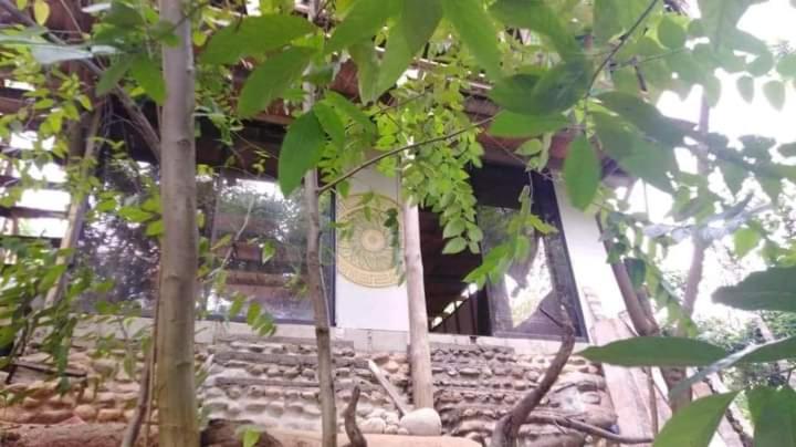 Sierra Tayrona Hostel