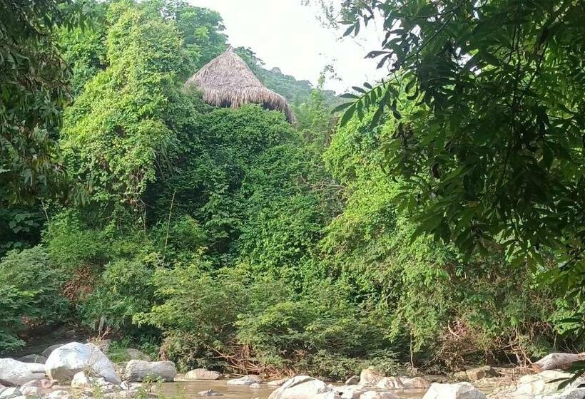 Sierra Tayrona Hostel
