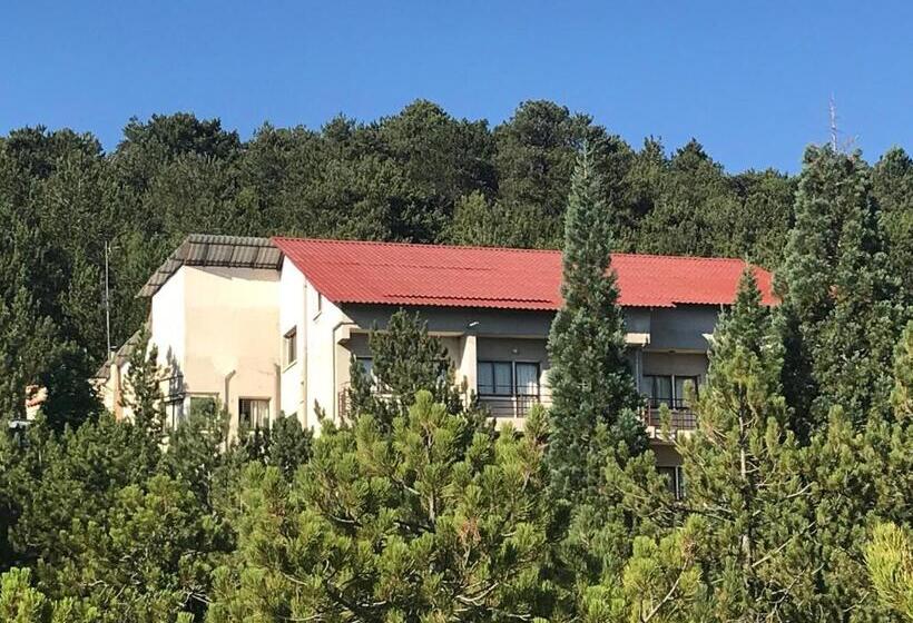 Health Habitat Hotel & Slimming Resort