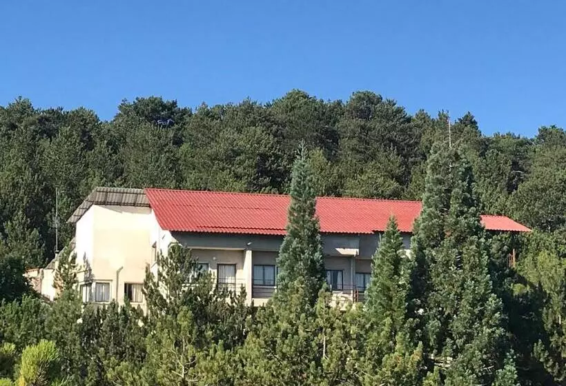 Health Habitat Hotel & Slimming Resort