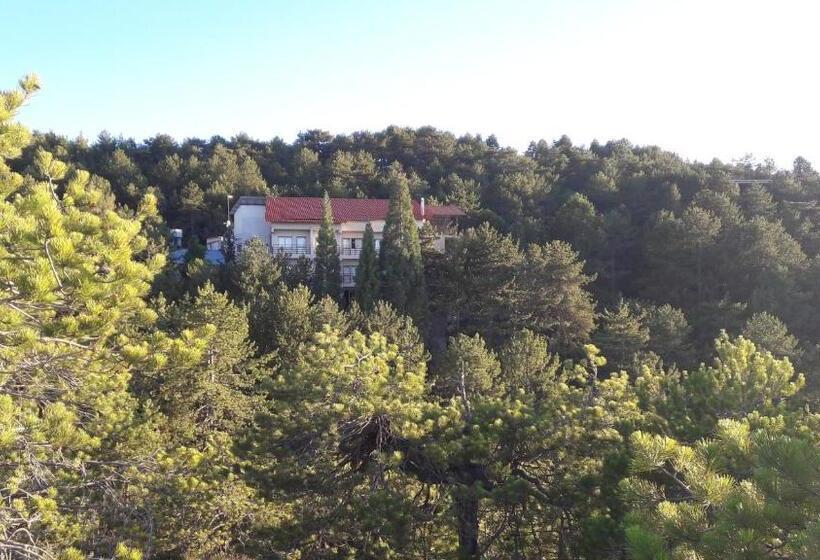 Health Habitat Hotel & Slimming Resort