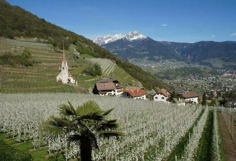 Oberangerhof