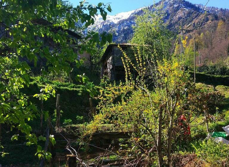 Begi Apart Bungalows Hotel   çamlıhemşin