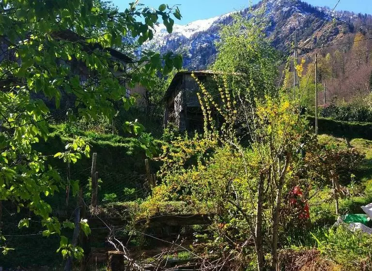 Begi Apart Bungalows Hotel   çamlıhemşin
