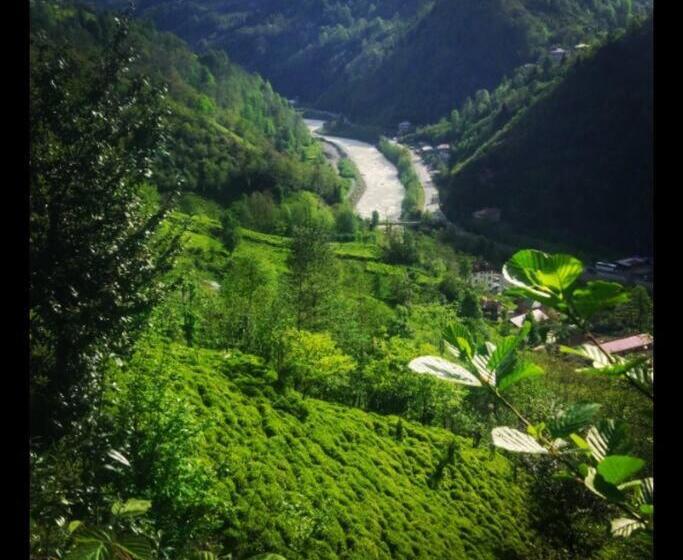 Begi Apart Bungalows Hotel   çamlıhemşin