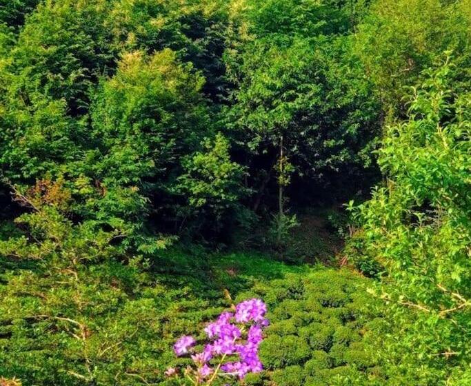 Begi Apart Bungalows Hotel   çamlıhemşin