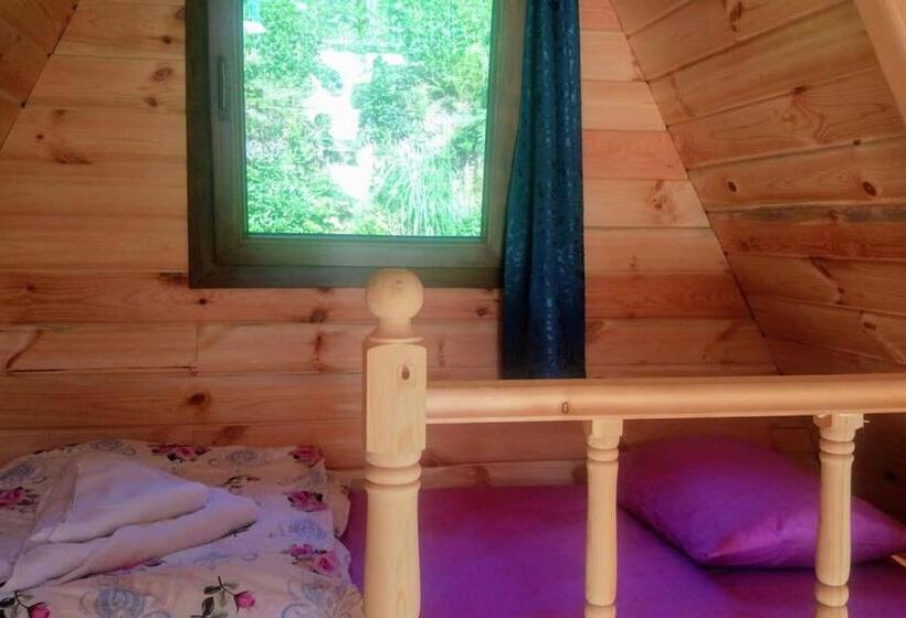 Begi Apart Bungalows Hotel   çamlıhemşin