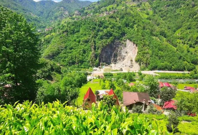 Begi Apart Bungalows Hotel   çamlıhemşin