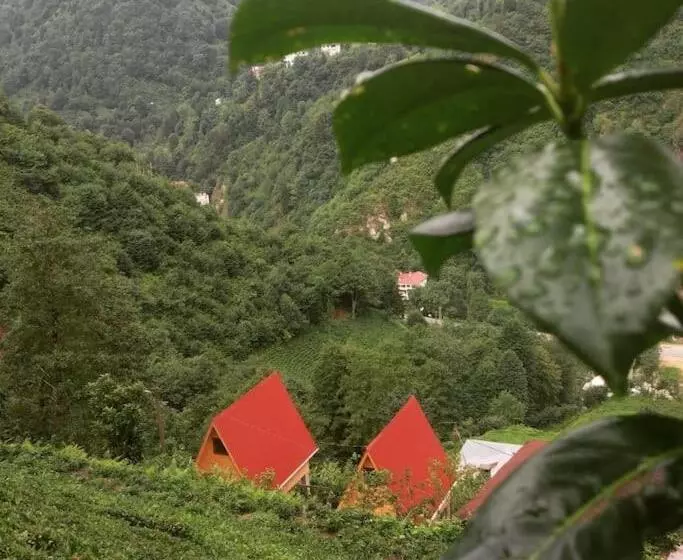Begi Apart Bungalows Hotel   çamlıhemşin