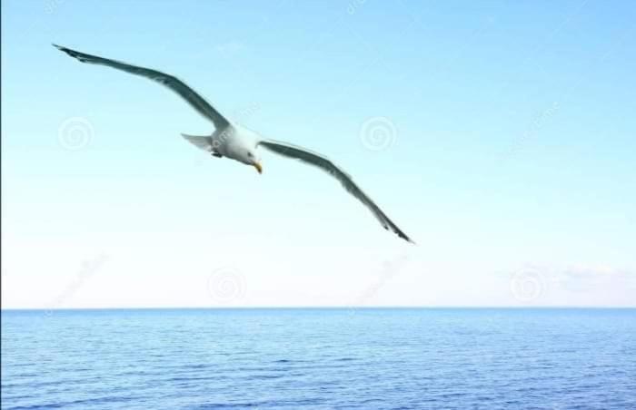 پانسیون уютный домик 133 причал