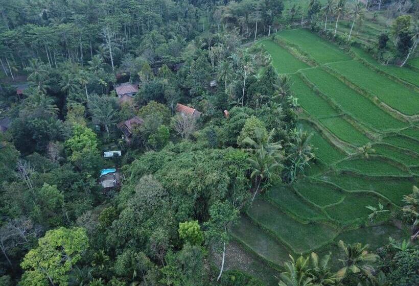 Пансион Mi Casa The Gem Of Ijen