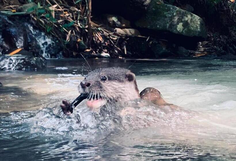 Пансион Mi Casa The Gem Of Ijen