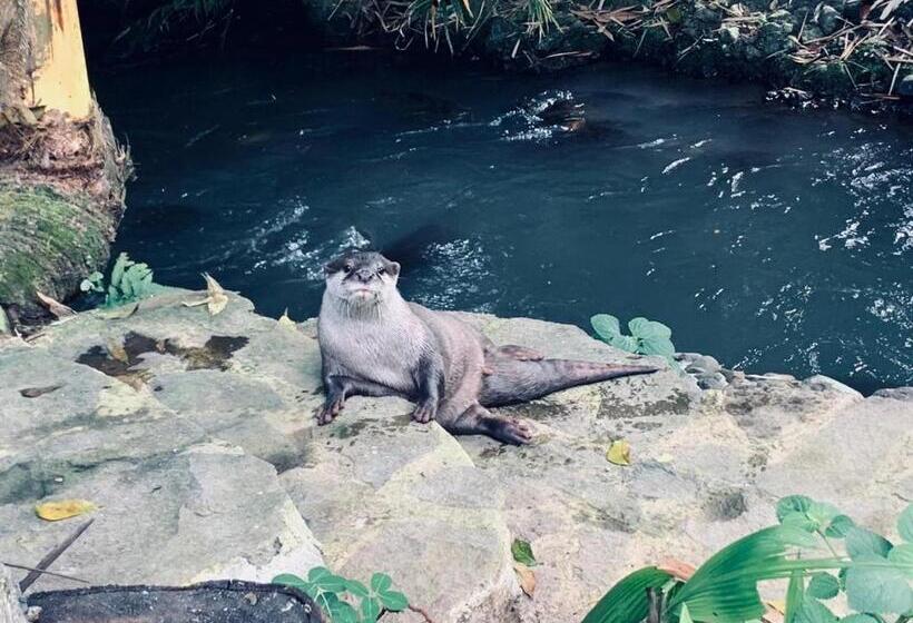 Пансион Mi Casa The Gem Of Ijen