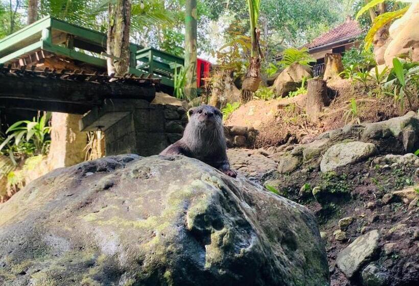 Пансион Mi Casa The Gem Of Ijen