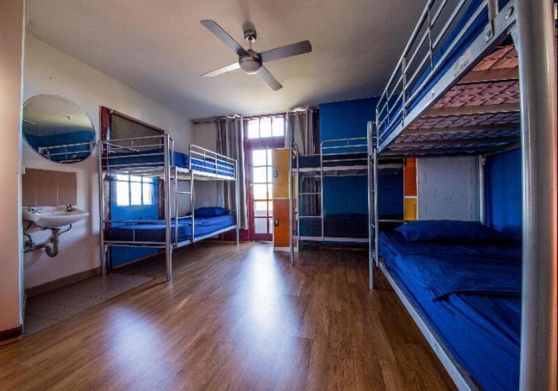 ユースホステル Mad Monkey Bayswater