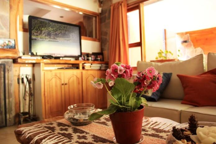 Apart Hotel Tierra Nativa