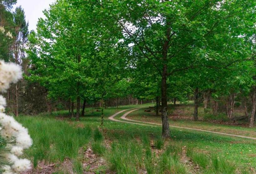 مبيت وإفطار Arum Hill Lodge