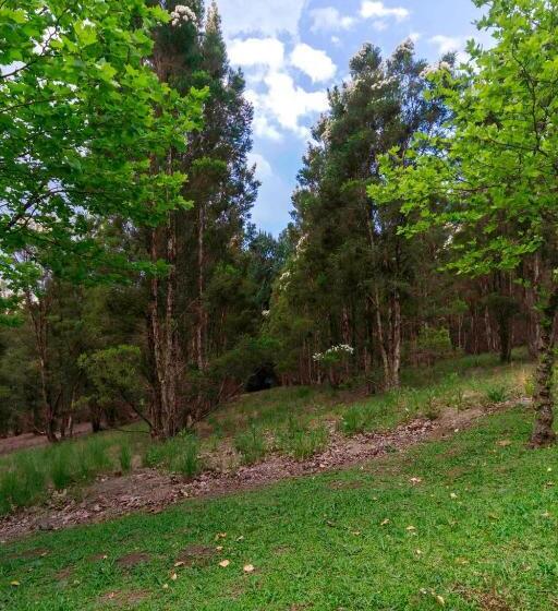 مبيت وإفطار Arum Hill Lodge