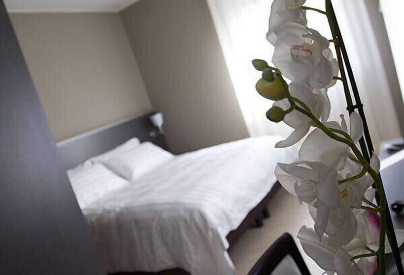 مبيت وإفطار Zara Rooms & Suites