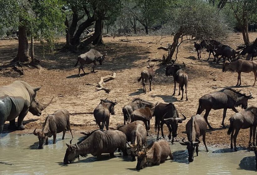 فندق Bushwillow Collection