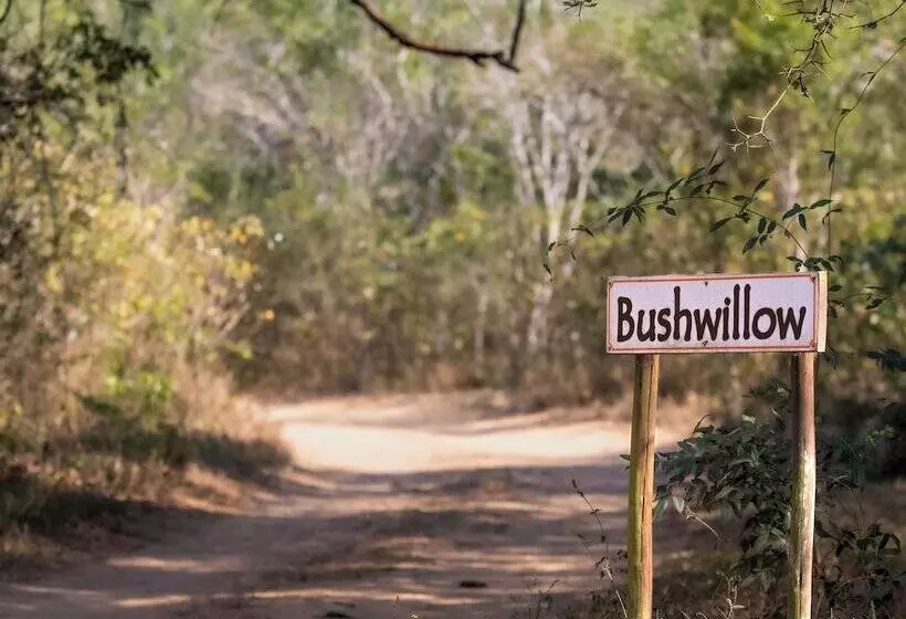 Hotelli Bushwillow Collection