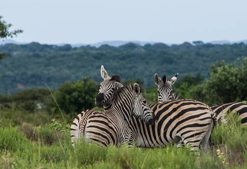 ホテル Bushwillow Collection