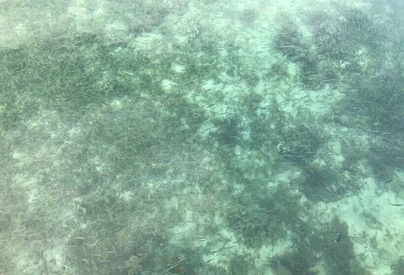 Hotel Dusita Resort Kohkood