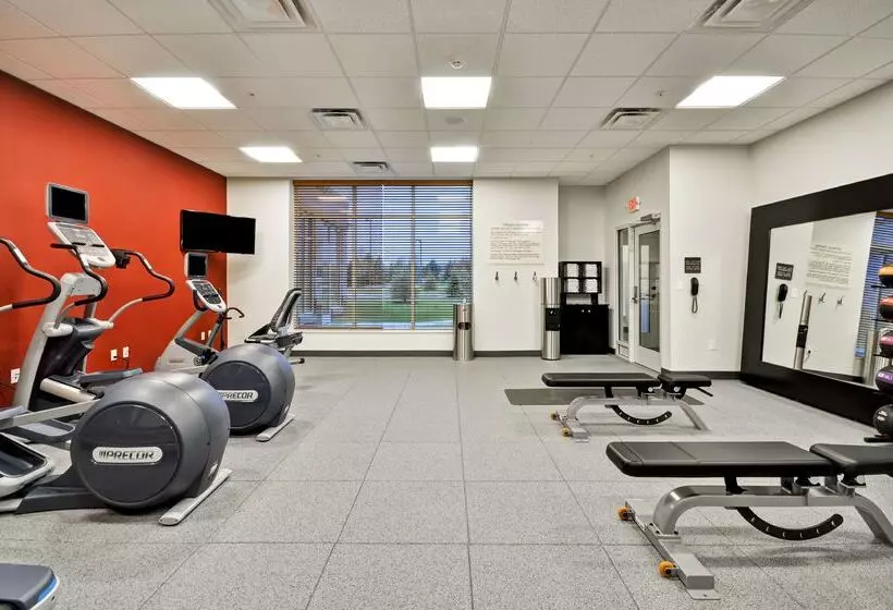 ホテル Hilton Garden Inn Detroit Troy