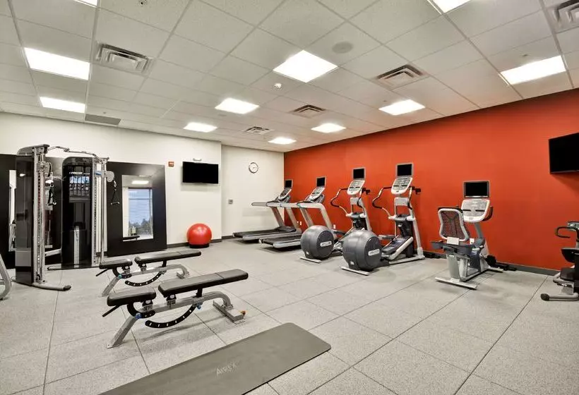 ホテル Hilton Garden Inn Detroit Troy