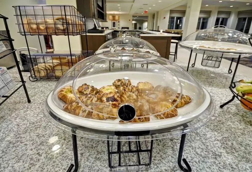 ホテル Hilton Garden Inn Detroit Troy