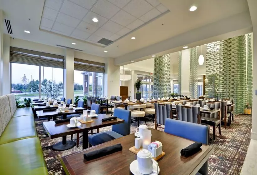 ホテル Hilton Garden Inn Detroit Troy