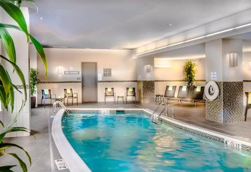 ホテル Residence Inn By Marriott Charlottesville Downtown