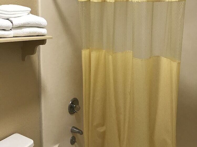 モーテル Rodeway Inn