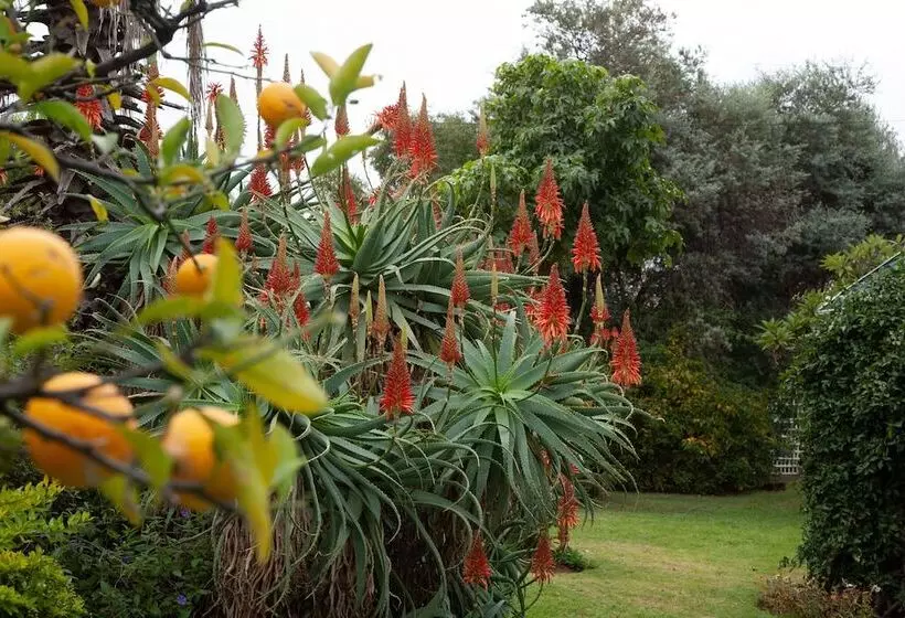 پانسیون Darrenwood Guesthouse Joburg, Sa