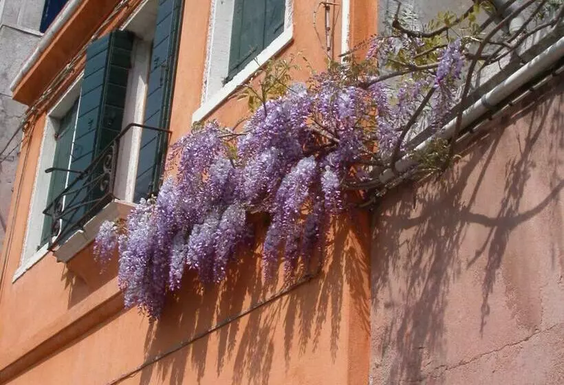 Aamiaismajoitus (B&B) Casa Leone   Apartements Im Alto Malcantone