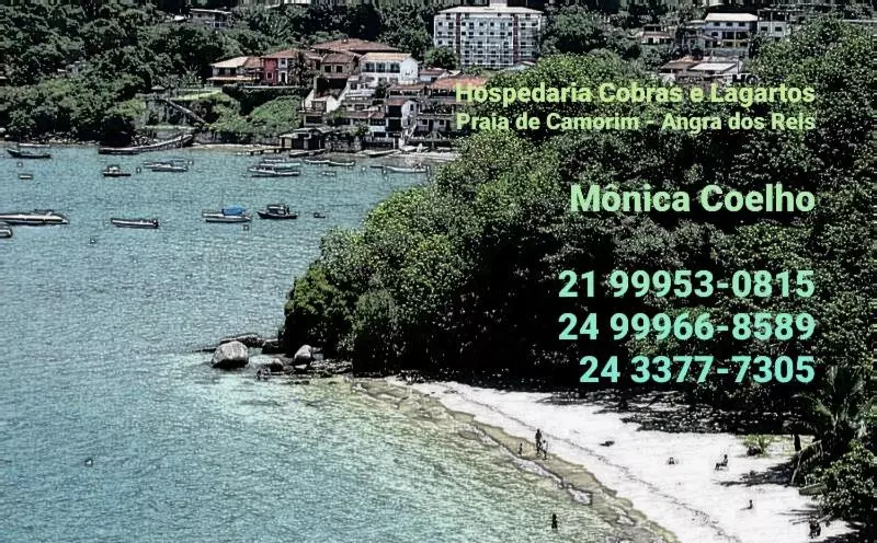ベッドアンドブレックファースト Hospedaria Cobras E Lagartos