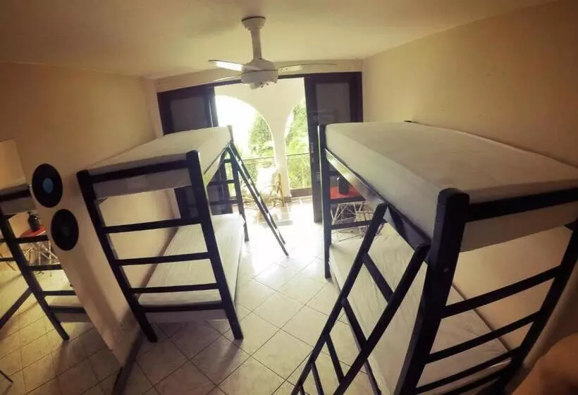 Hostel House 84