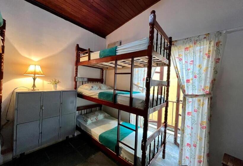Hostel Papagaio