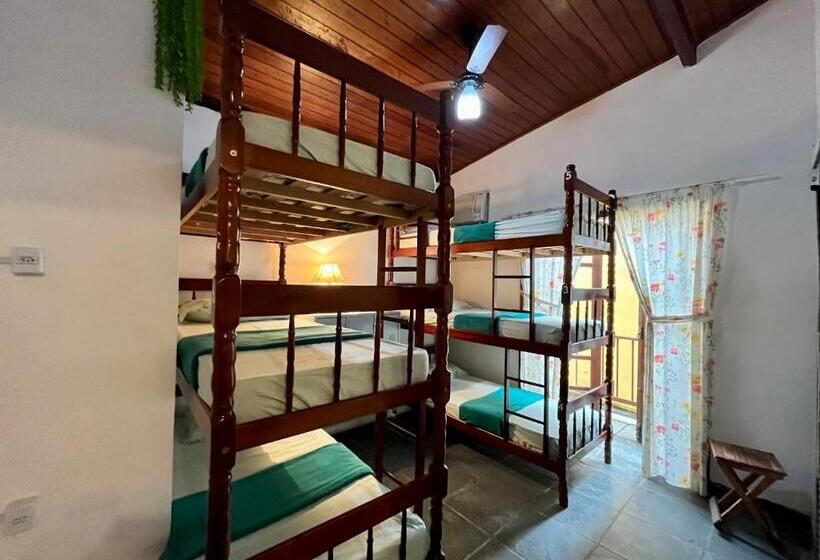 Hostel Papagaio