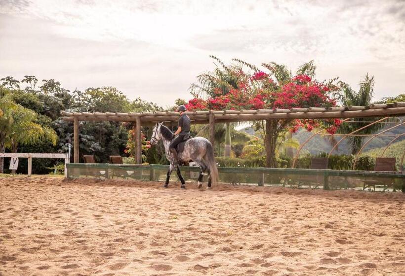 Отель Ladiv Ttá