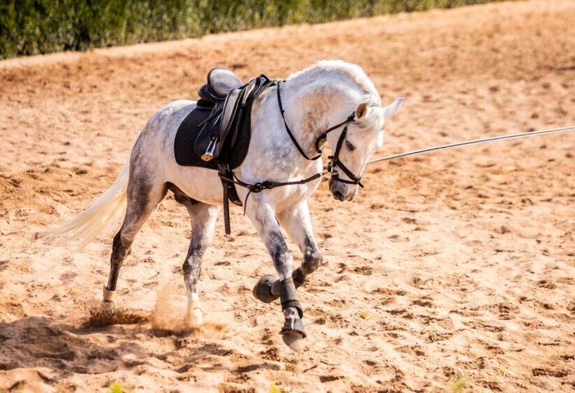 Отель Ladiv Ttá